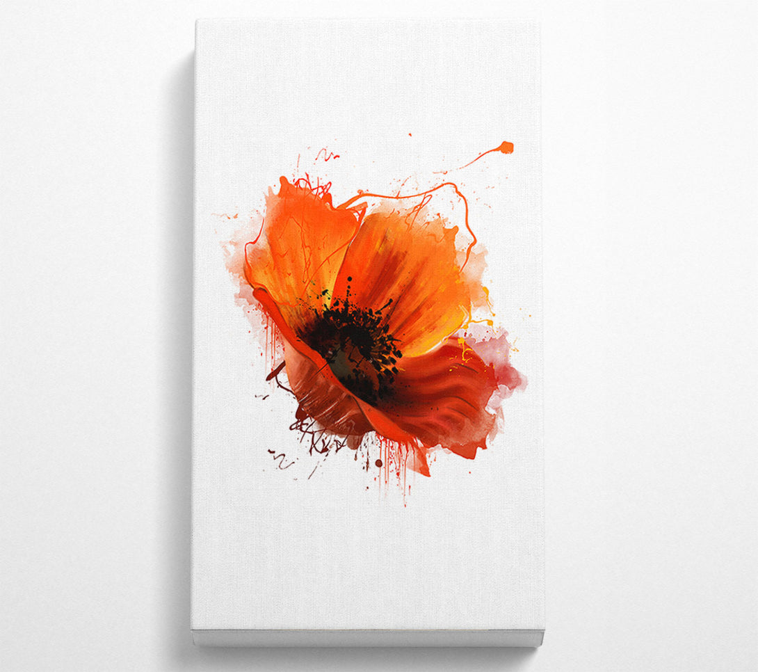  A Canvas Print of Red Poppy Head Canvas Art