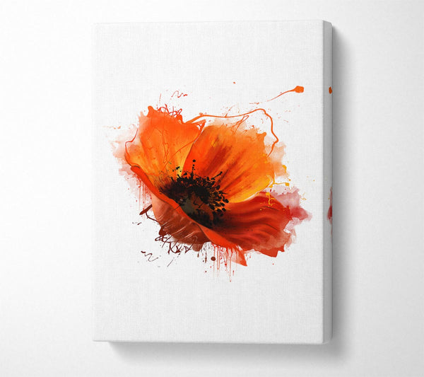 Red Poppy Head Canvas Art