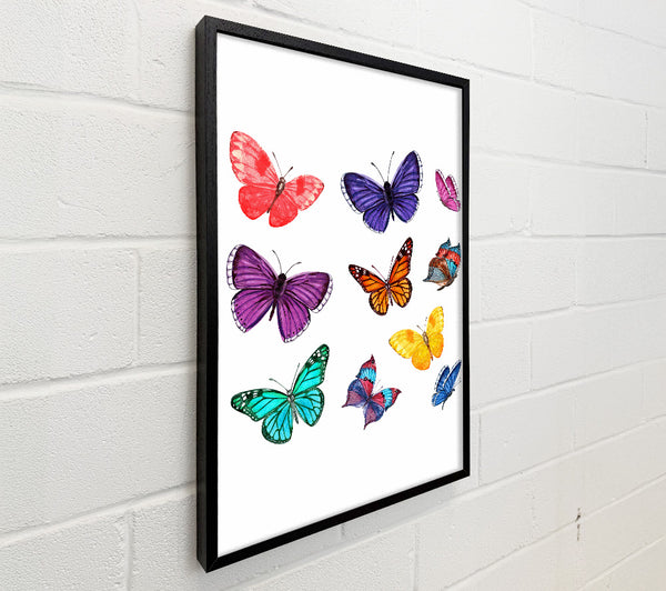 Rainbow Butterflies
