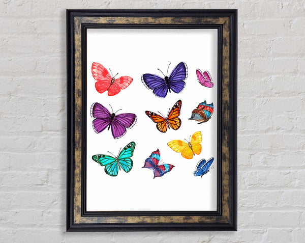 Rainbow Butterflies Framed Print