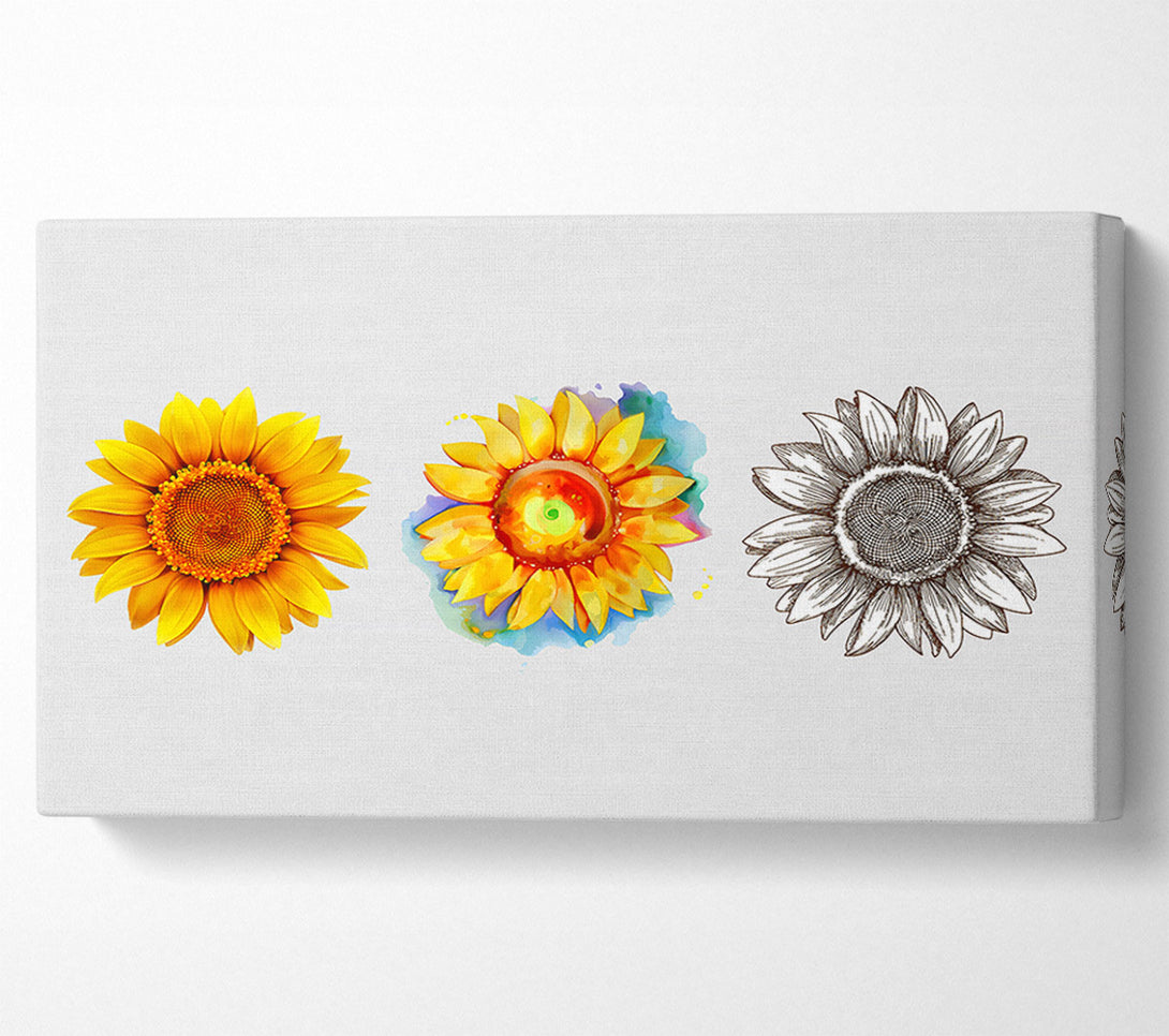  A Canvas Print of Sunflower Trio Canvas Wall Art