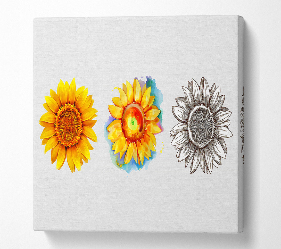  A Canvas Print of Sunflower Trio Canvas Wall Art