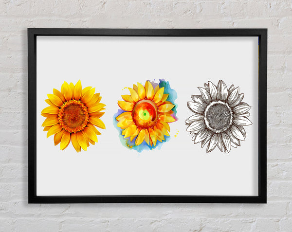 Sonnenblumen-Trio