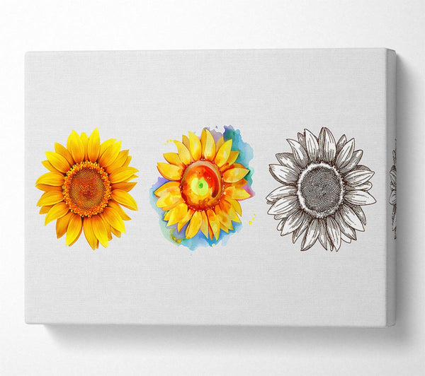  A Canvas Print of Sunflower Trio Canvas Wall Art