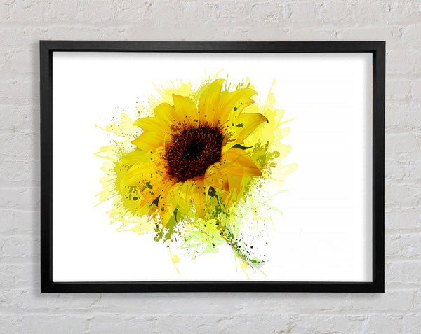 Sonnenblumenspritzer 1