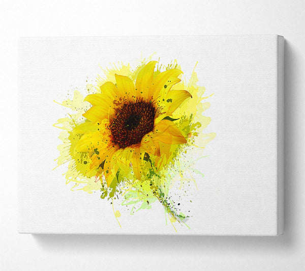  A Canvas Print of Sunflower Splash 1 Canvas Art