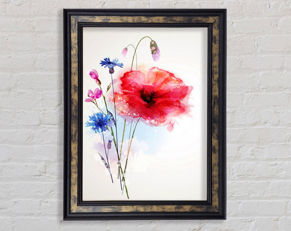 Poppy Magic Framed Print