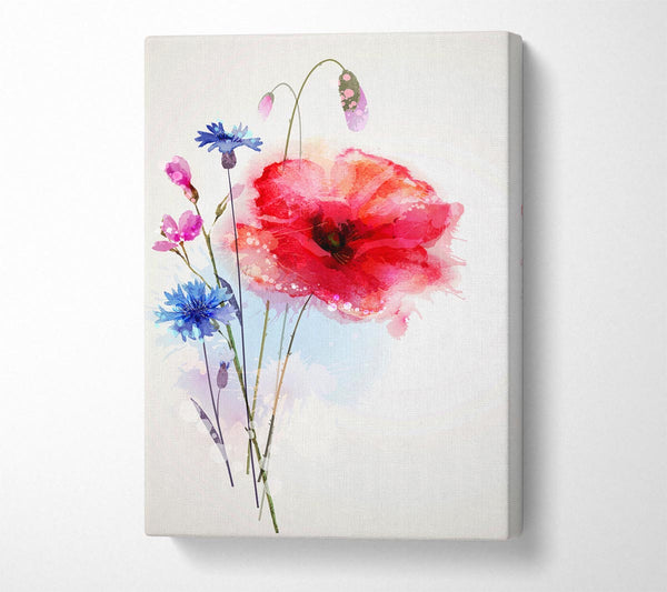  A Canvas Print of Poppy Magic Canvas Art