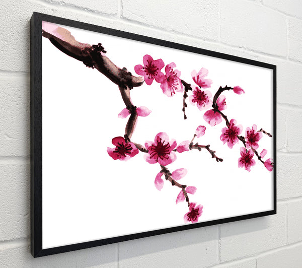 Branch Of A Cherry Blossom