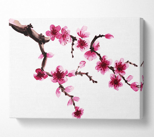  A Canvas Print of Branch Of A Cherry Blossom Canvas Print