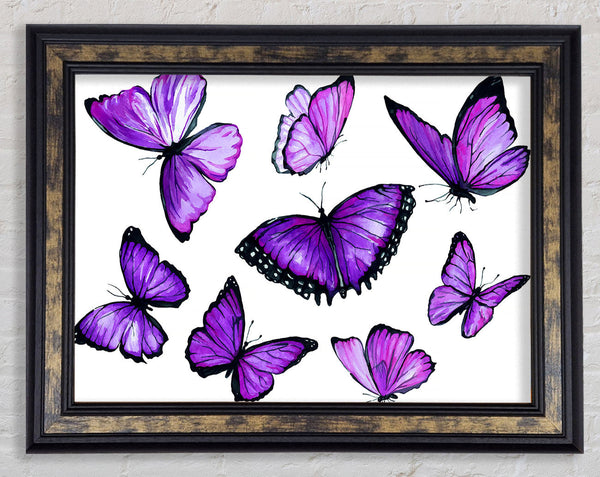 Purple Butterfly Frenzy Framed Print