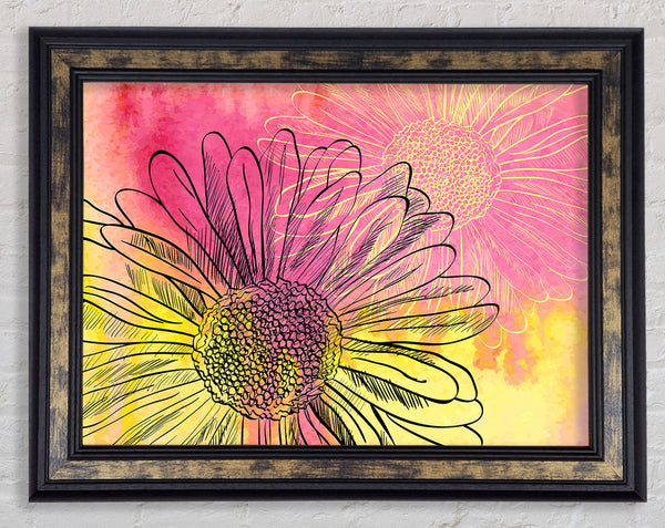 Summer Daisies Framed Print