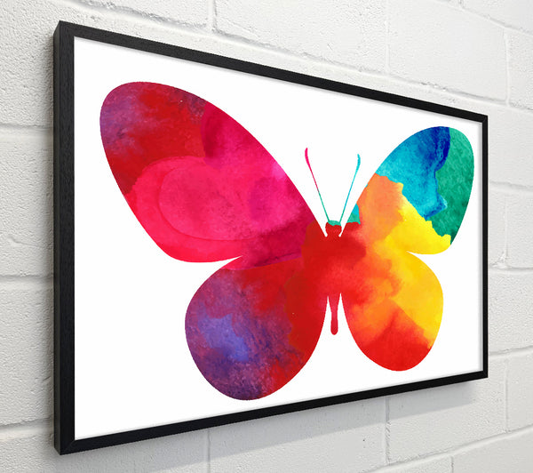 Rainbow Butterfly