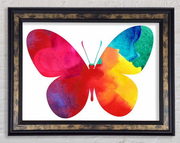 Rainbow Butterfly Framed Print