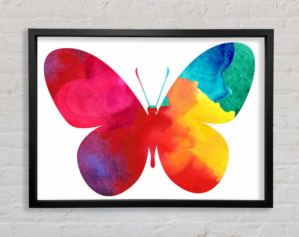 Regenbogen-Schmetterling