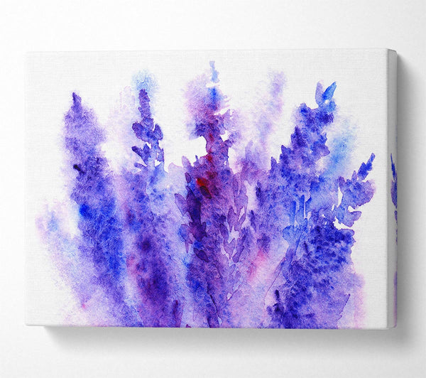  A Canvas Print of Larkspur Beauty Canvas Wall Art