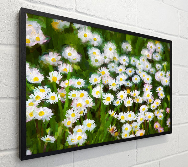 White Daisy Heaven