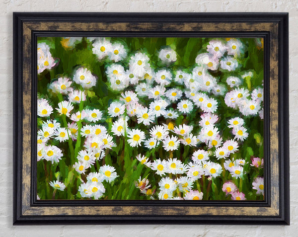 White Daisy Heaven Framed Print