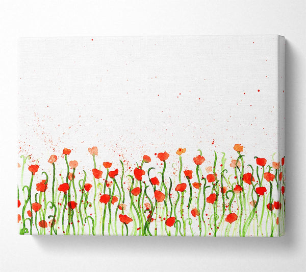 Red Poppy Garden Splash Canvas Art