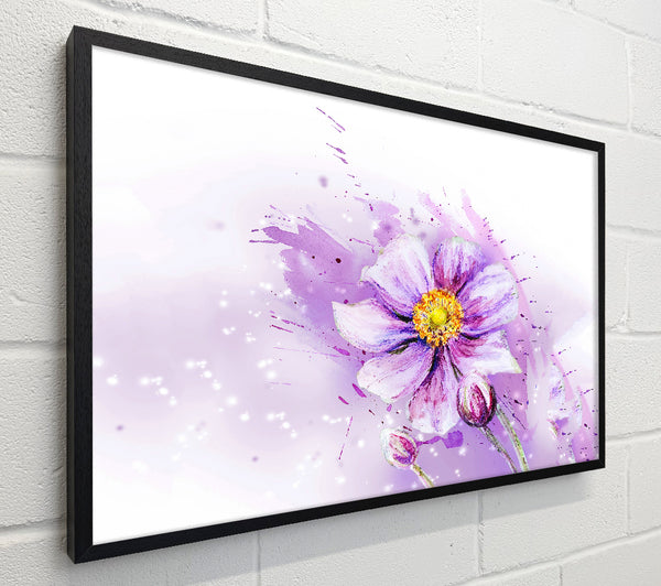 Purple Daisy Bloom