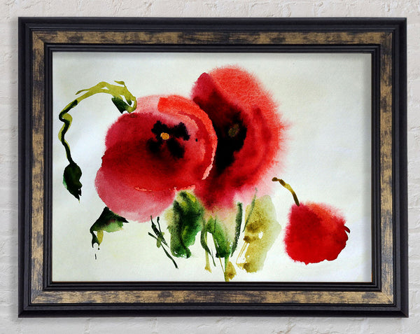 Poppy Vision Framed Print