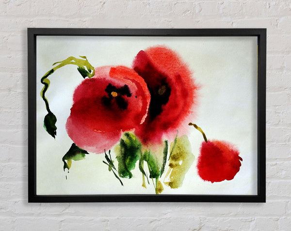 Mohn-Vision