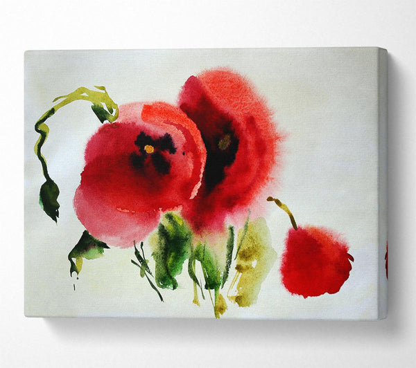 A Canvas Print of Poppy Vision Canvas Art