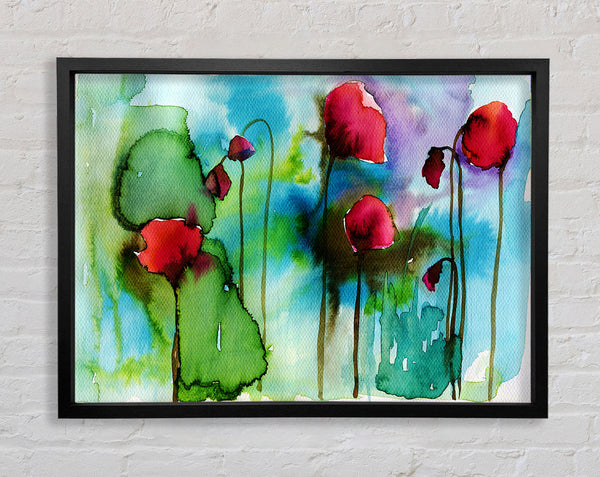 Aquarell Mohnblumen