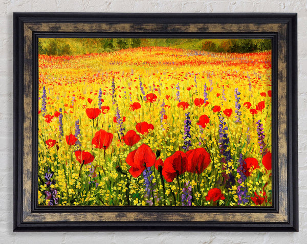 Poppy And Larkspur Magic Framed Print