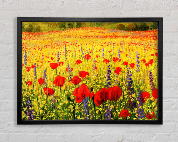 Mohn- und Ritterspornmagie