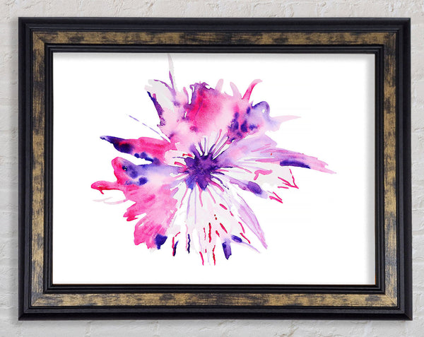 Stunning Petals Framed Print