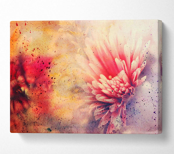  A Canvas Print of Pink Splash Canvas Print