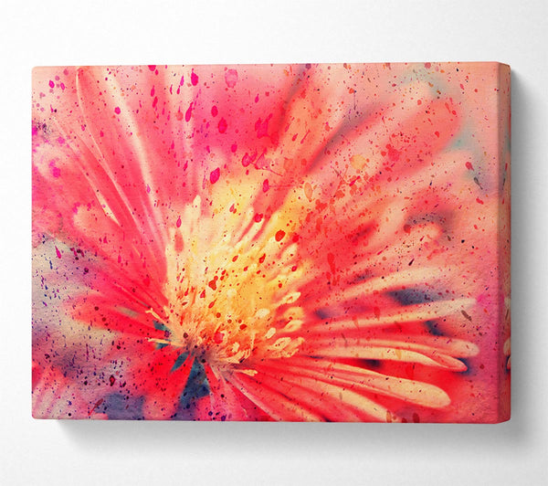 Stunning Red Flower With Yellow Center