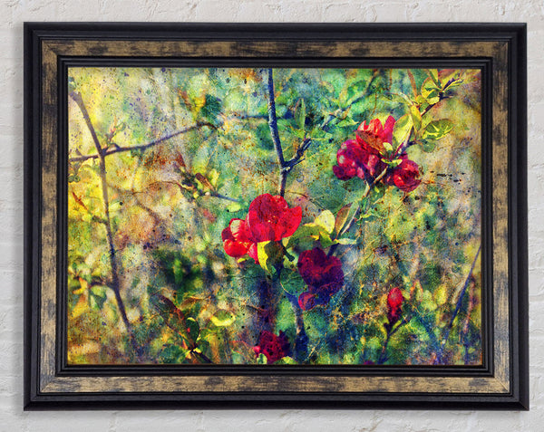 Before The Fruit Framed Print