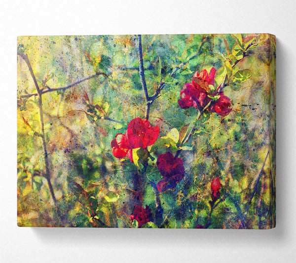  A Canvas Print of Before The Fruit Canvas Art