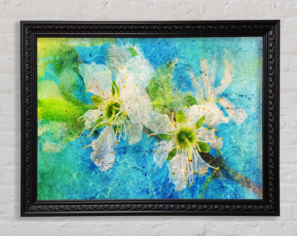 Cherry Apple Blossom Framed Print