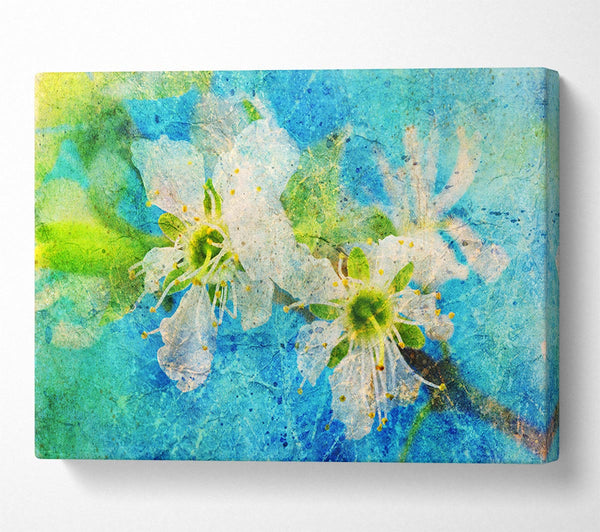  A Canvas Print of Cherry Apple Blossom Canvas Wall Art