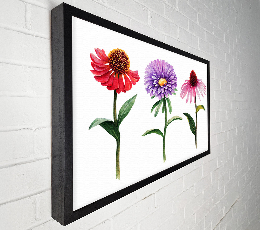  A Canvas Print of Trio Of Garden Flowers Canvas Wall Art
