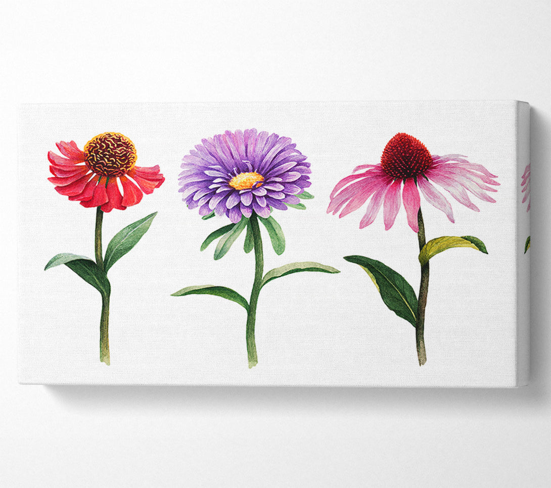  A Canvas Print of Trio Of Garden Flowers Canvas Wall Art