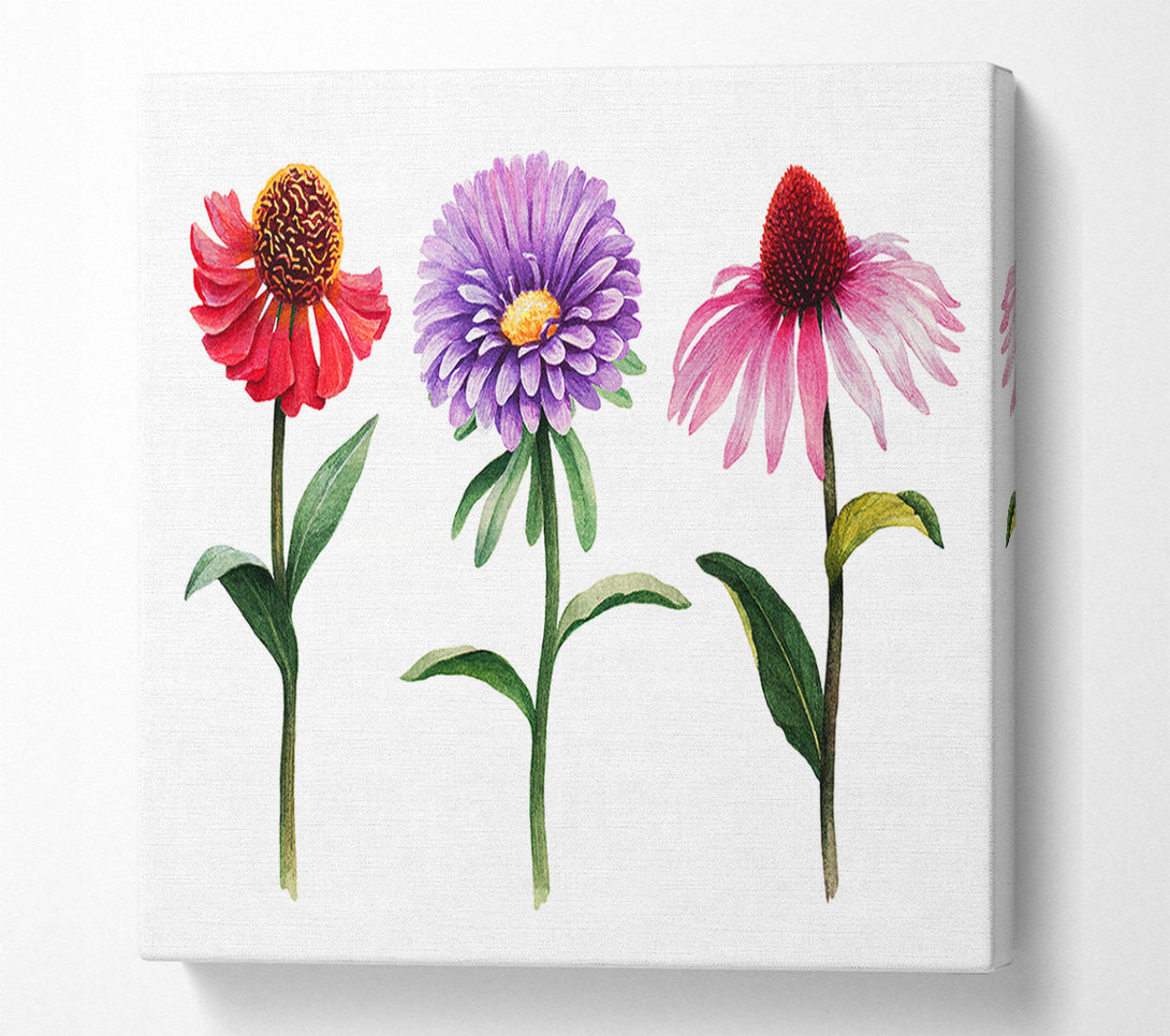  A Canvas Print of Trio Of Garden Flowers Canvas Wall Art