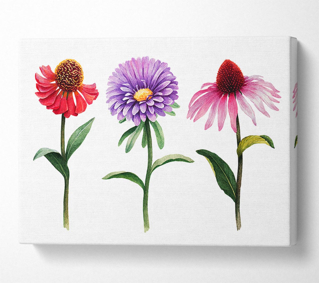  A Canvas Print of Trio Of Garden Flowers Canvas Wall Art