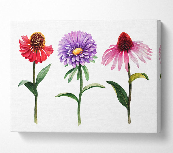  A Canvas Print of Trio Of Garden Flowers Canvas Wall Art