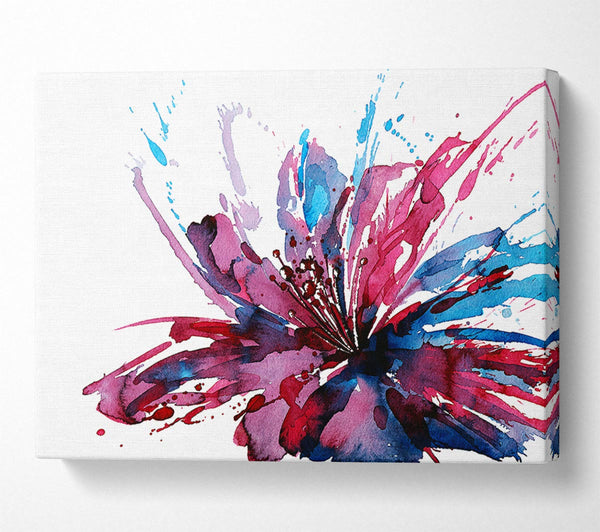  A Canvas Print of Lily Splash Canvas Art