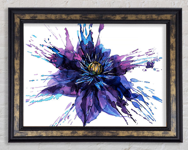 Water Lily Splash Framed Print