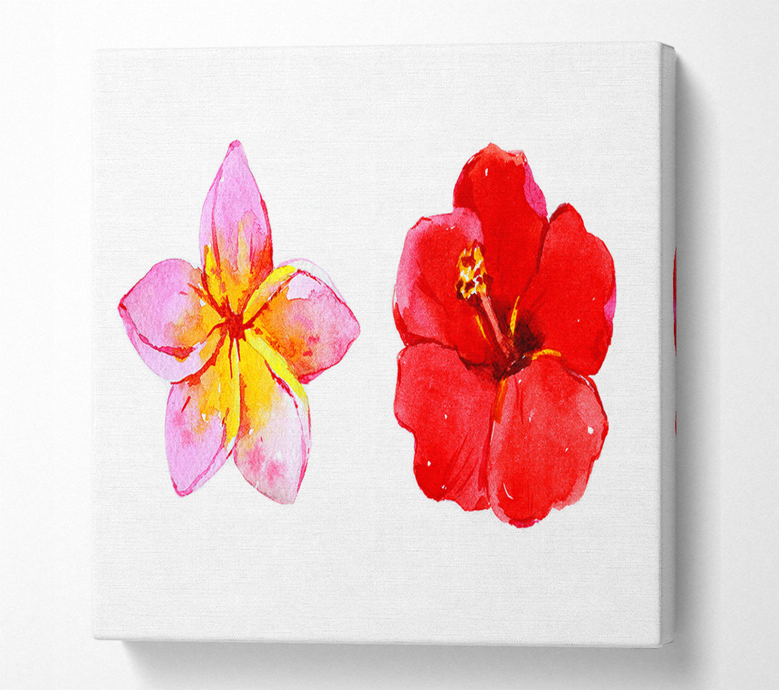  A Canvas Print of Amaryllis Beauty Canvas Print