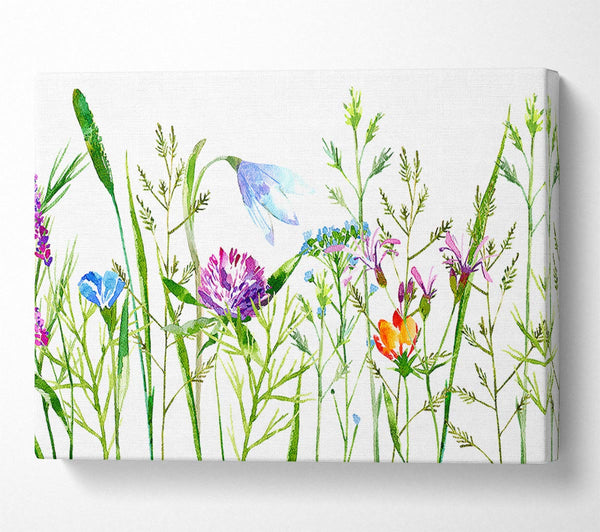  A Canvas Print of English Garden Canvas Print