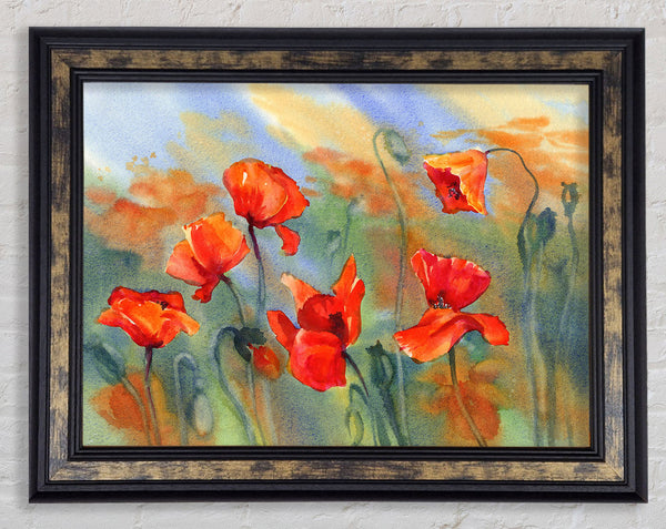 Poppy Abstract Framed Print