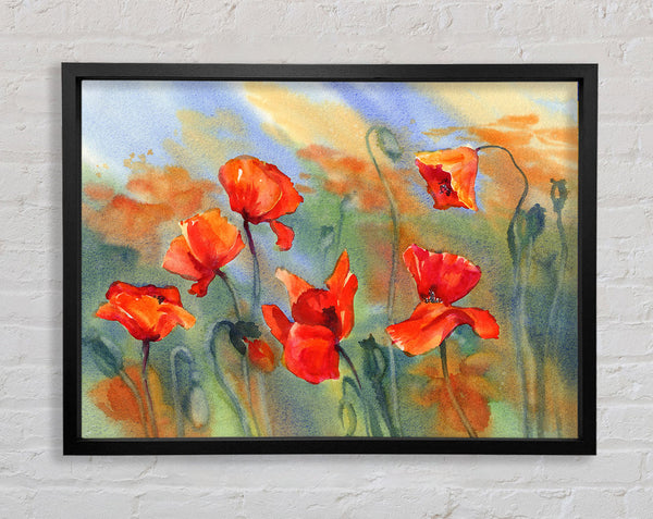 Mohn abstrakt