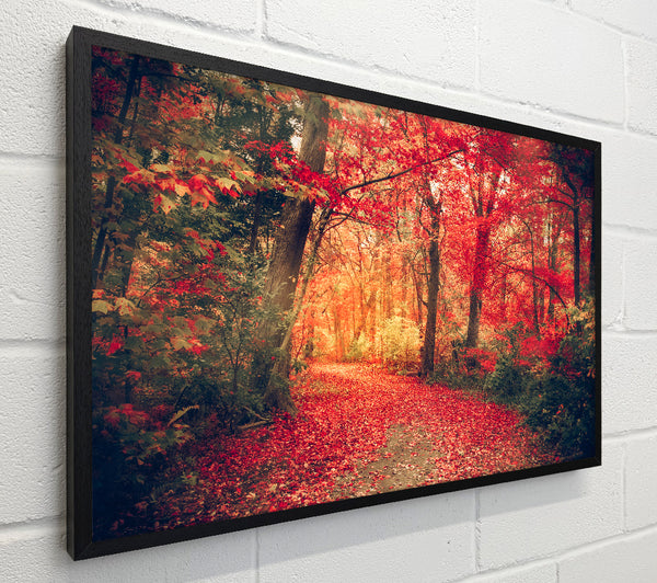 Red Tree Walk