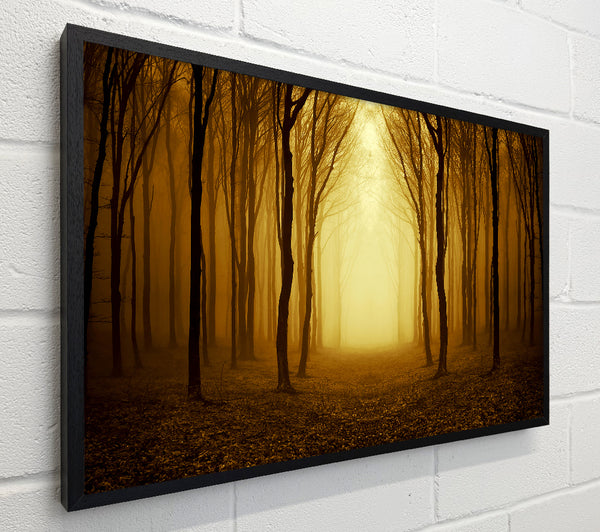 Through The Golden Path